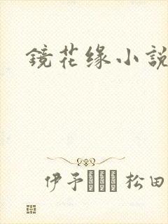 镜花缘小说封面