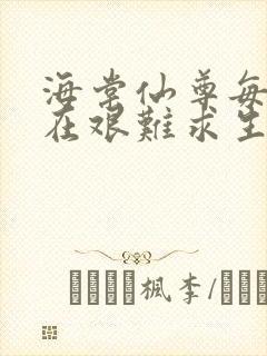 海棠仙尊每天都在艰难求生