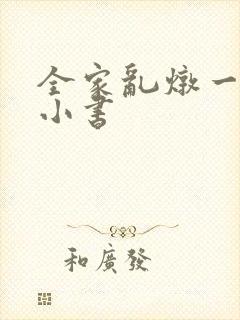 全家乱炖一锅烩小书
