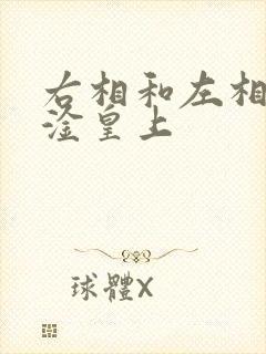 右相和左相一起淦皇上