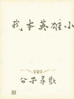 我本英雄小说