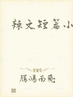 辣文短篇小说封面
