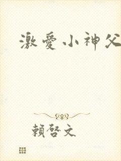 激爱小神父