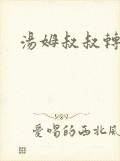 汤姆叔叔转接口