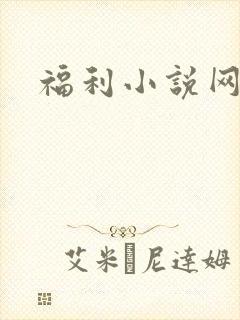 福利小说网封面