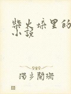 柴火垛里的疯狂小说