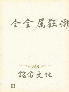 全金属狂潮小说