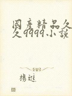 国产精品久久久久9999小说