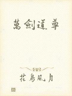 万剑道尊
