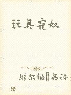 玩具宠奴封面