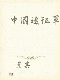 中国远征军小说封面