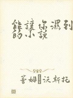 能让你湿到不行的小说