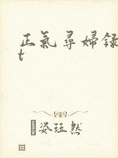 正气寻妇录txt