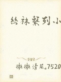 丝袜系列小说