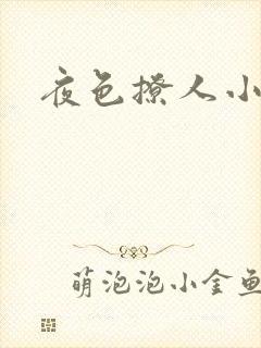 夜色撩人小说封面