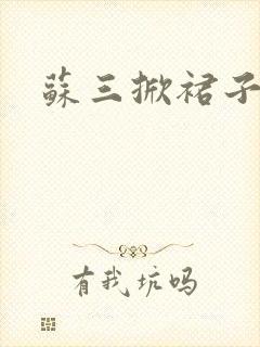 苏三掀裙子封面