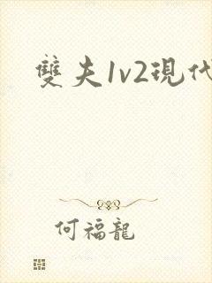 双夫1v2现代封面