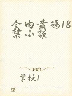 全肉黄码18无禁小说封面
