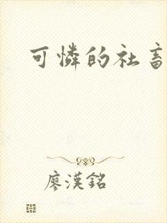 可怜的社畜小说