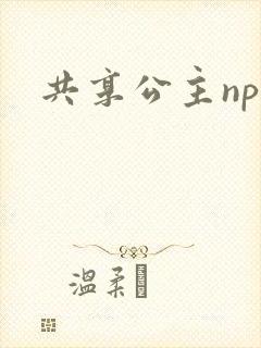 共享公主npc