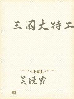 三国大特工