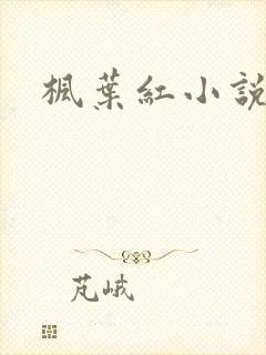 枫叶红小说封面