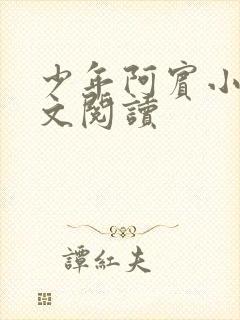 少年阿宾小说全文阅读