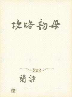 攻略韵母