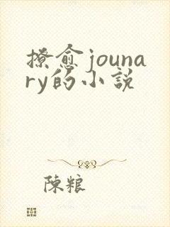 撩愈jounary的小说