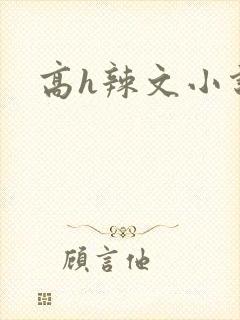 高h辣文小说