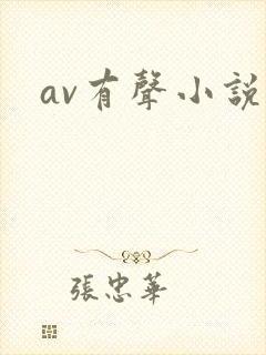 av有声小说