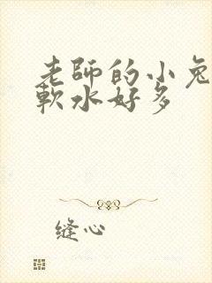 老师的小兔子好软水好多