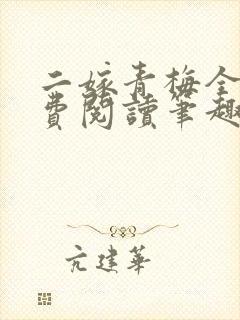 二嫁青梅全文免费阅读笔趣阁封面