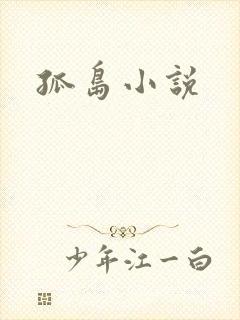 孤岛小说