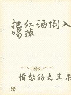 把红酒倒入b里喝掉封面