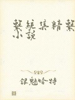 系统集精系统 小说