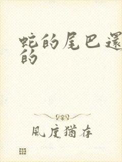 蛇的尾巴还在我的