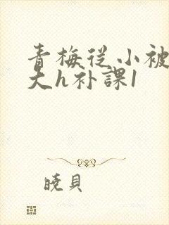 青梅从小被c到大h补课1
