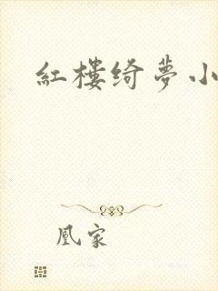 红楼绮梦小说