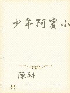 少年阿宾小说