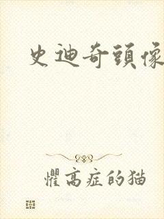 史迪奇头像