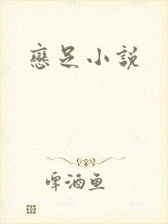 恋足小说