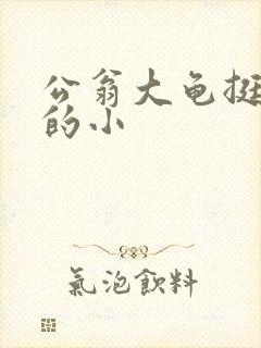 公翁大龟挺进我的小