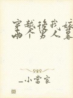 穿越后我嫁给了两个男人暮色酒歌