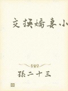 交换娇妻小说