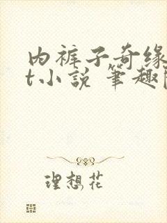 内裤子奇缘txt小说 笔趣阁封面