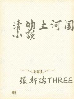 清明上河图密码小说封面