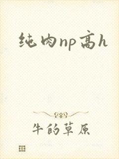 纯肉np高h