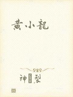 黄小龙封面