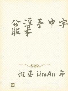 公浮手中字最新版本封面